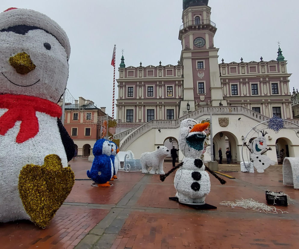 Bajkowa instalacja przed zamojski ratuszem