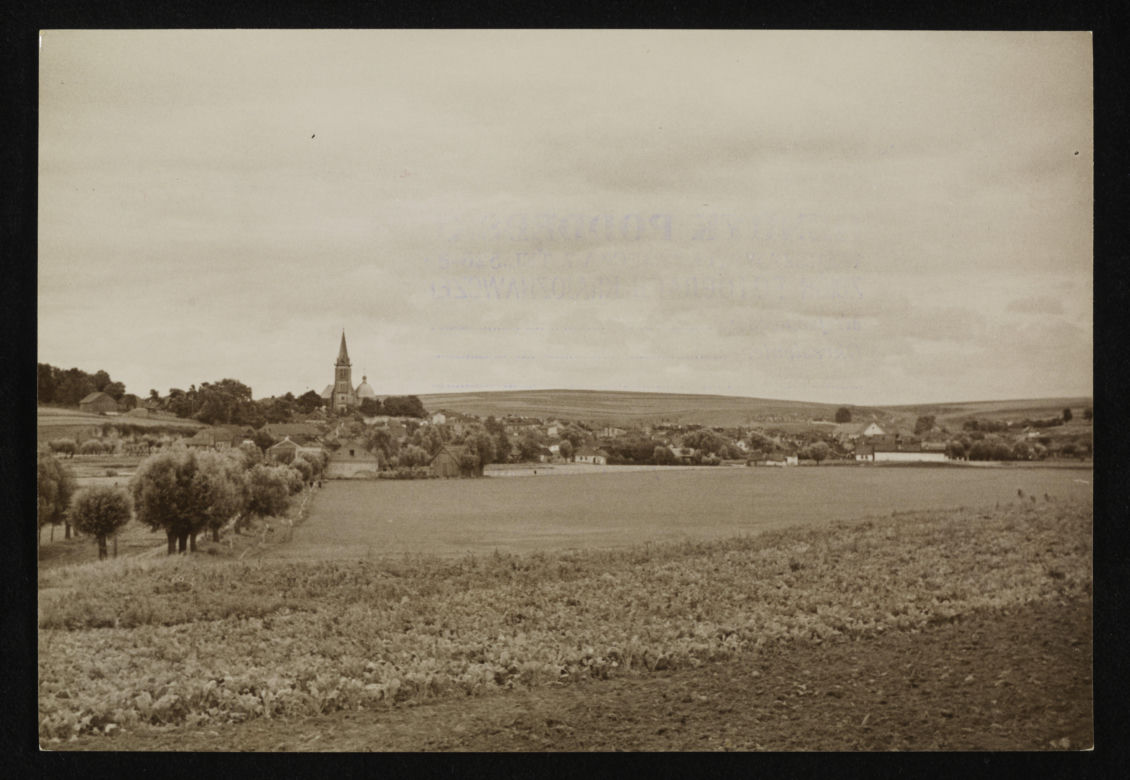 Świętokrzyskie. Działoszyce