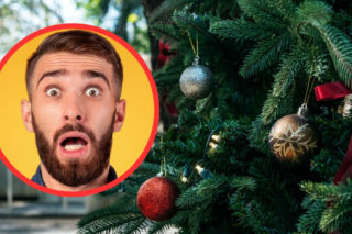 Kupił na święta choinkę w doniczce. Po kilku godzinach gorzko tego pożałował