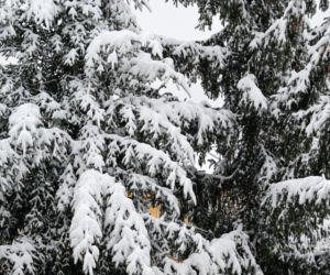 Widok po po nocnych, intensywnych opadach śniegu w Przemyślu