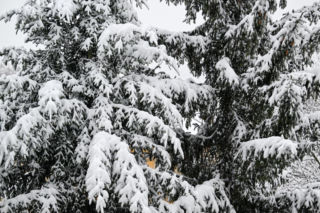 Widok po po nocnych, intensywnych opadach śniegu w Przemyślu