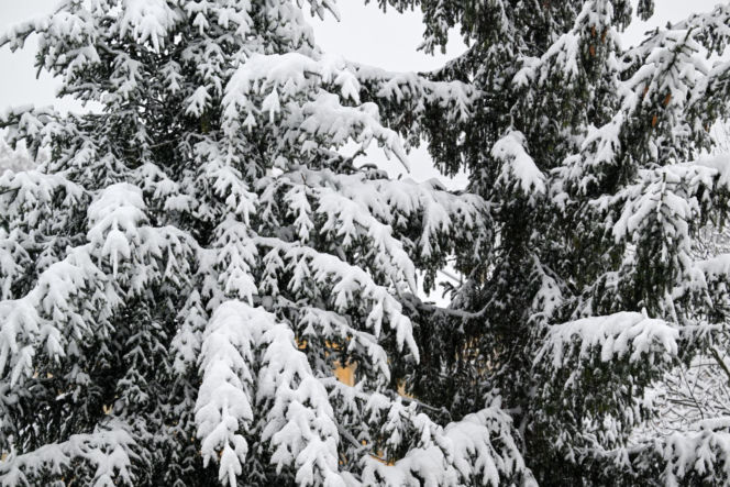 Widok po po nocnych, intensywnych opadach śniegu w Przemyślu