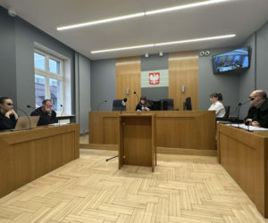 Ostrów. Pozwoliła dziecku znęcać się nad kotem. Jest wyrok sądu