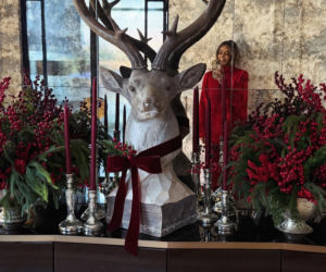 Gwiazdy wystroiły wille na święta! Przetakiewicz, Kurzopki i Rozenek wydali grube tysiące!