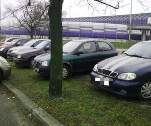 Samochody parkujące na trawnikach w Warszawie [ZDJĘCIA]