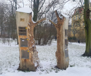 Zima w Bydgoszczy 