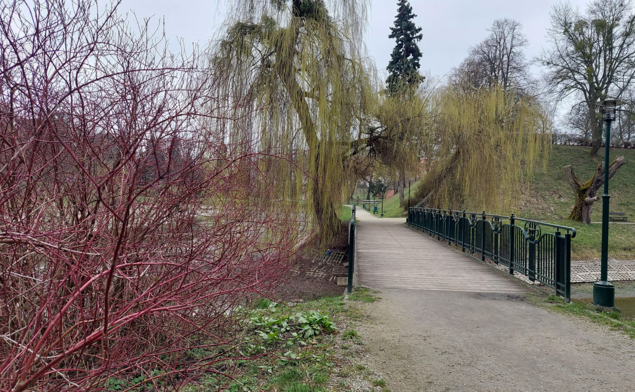 Zamość