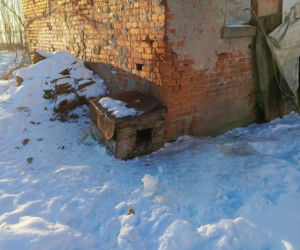 Metalowy łańcuch wrósł w szyję Reksia. Trzy kundelki z odmrożeniami