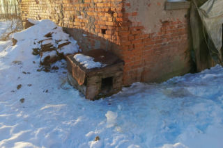 Metalowy łańcuch wrósł w szyję Reksia. Trzy kundelki z odmrożeniami