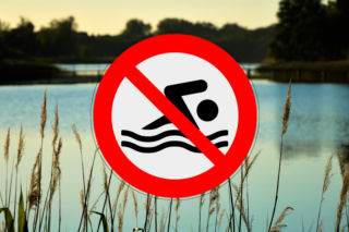 Z powodu sinic zamknięto jedno z najpopularniejszych kąpielisk na Roztoczu