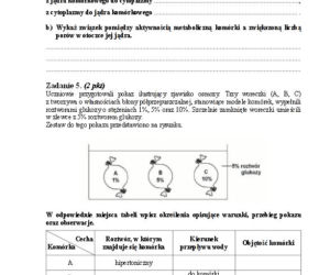 Matura 2013 biologia p. rozszerzony