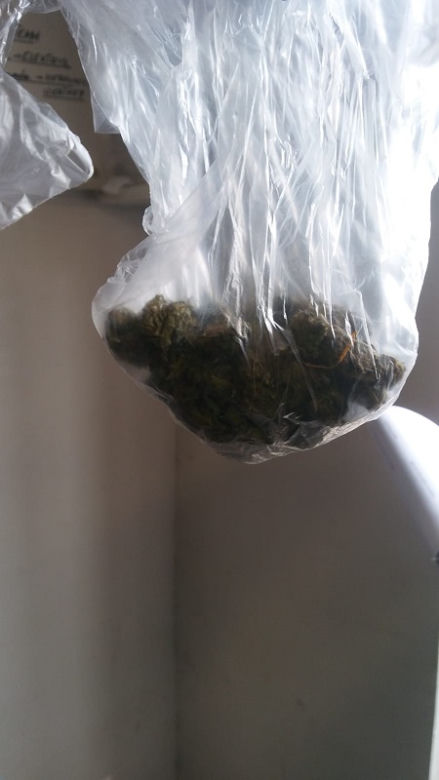 Policjanci zatrzymali DILERA. Pomógł im pies