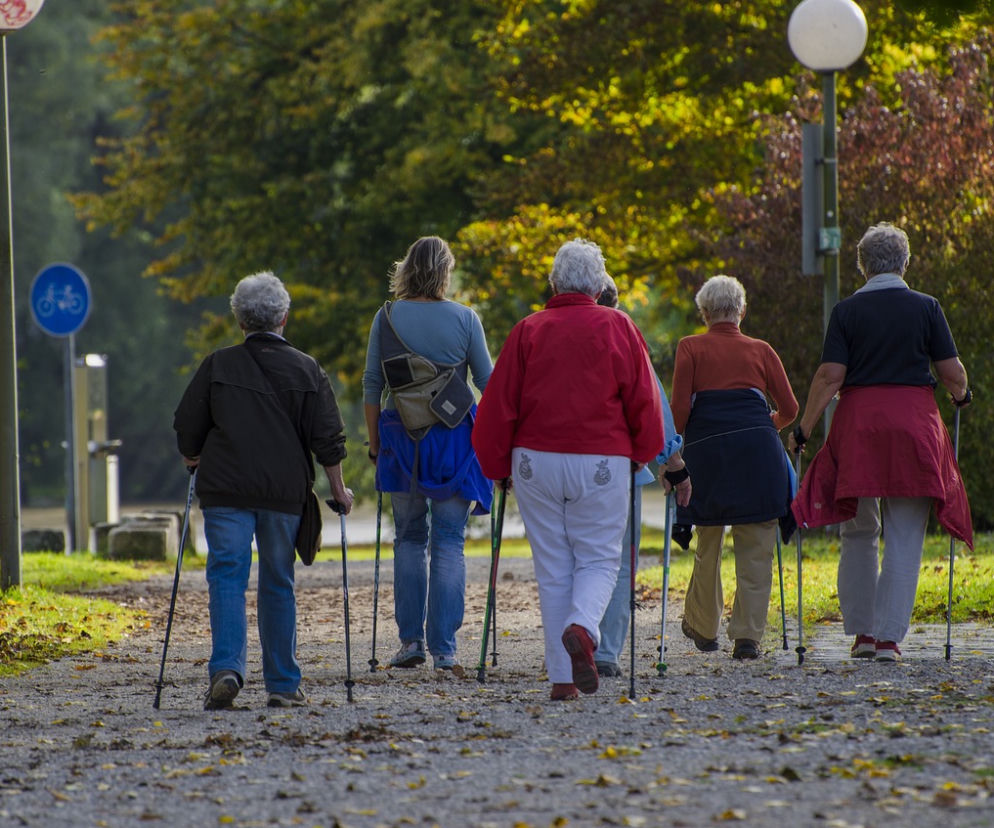 Nordic walking