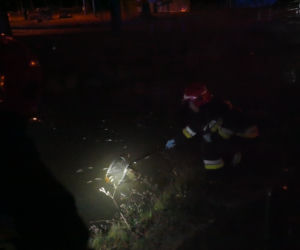 Potężne zatrucie Zalewu Nowohuckiego w Krakowie