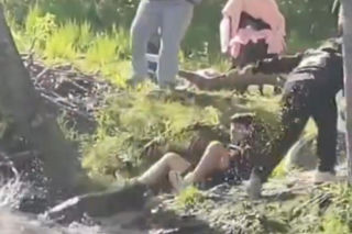Bóbr zaatakował dziecko! Szokujące wideo w sieci