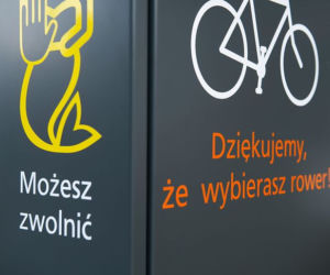 Kratki, rowki, totemy: Nawet na ścieżkach rowerzyści muszą zwolnić! 