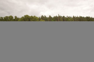 BIAŁORUSKA PUMA W POLSCE.