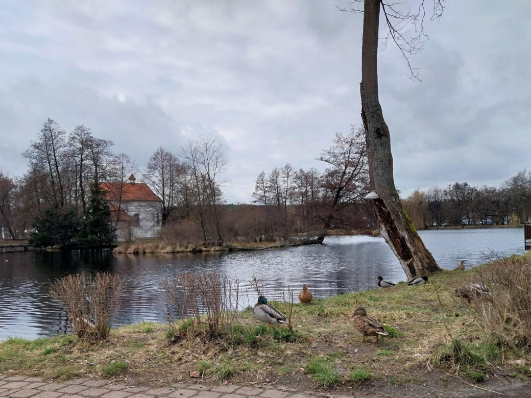 Zwierzyniec