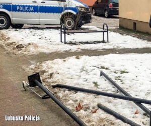 Ciemność zapadła nad lecznicą weterynaryjną. Co się stało z lampami?