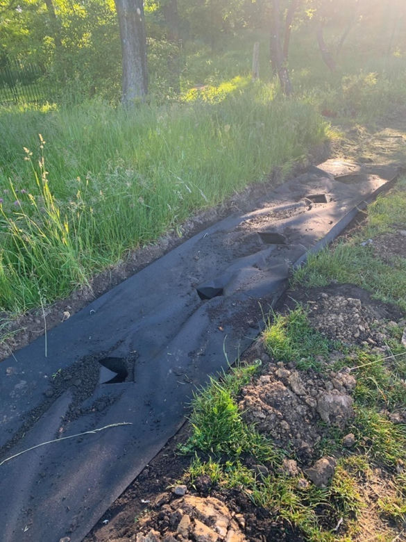 Dąbrowa Górnicza. OBRZYDLIWE zachowanie wandali na cmetarzu! Zobacz, co zrobili [ZDJĘCIA]