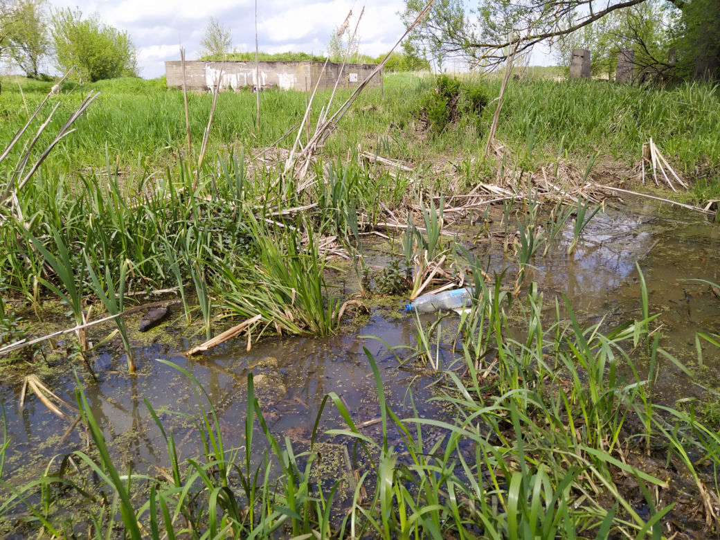 Sprzątanie mostu kolejowego nad rzeką Muchawką - 15.05.2021