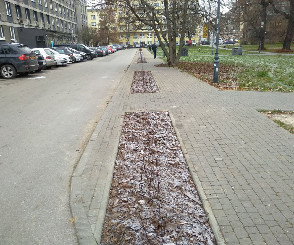 Parkowanie