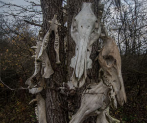 Przerażający totem pod Warszawą