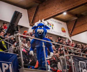 Anioły Toruń wygrały u siebie! Zdjęcia z Hali Sportowej SP nr 28