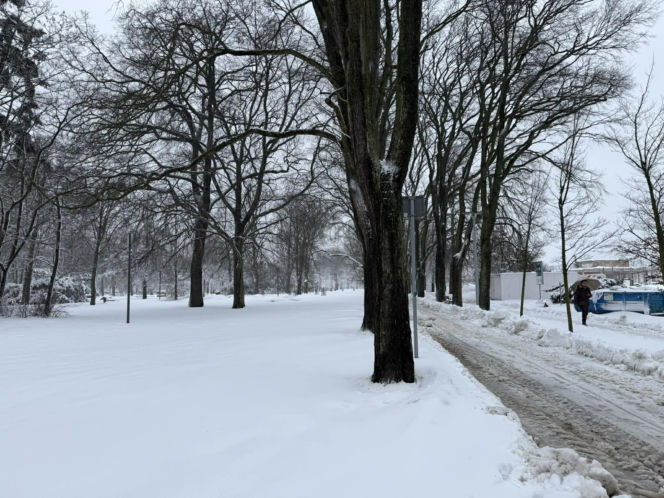 Sroga zima ponownie uderzyła na Pomorzu