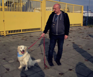 Radosna Parada Psów Adoptowanych przeszła ulicami Bydgoszczy!