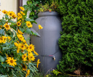 Zbiornik na deszczówkę