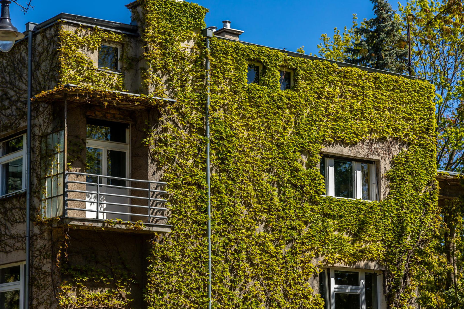 Willa Rakowiczów przy Czarnieckiego 53 w Warszawie