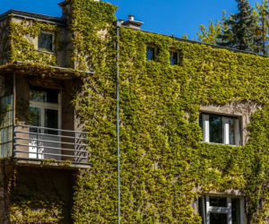 Willa Rakowiczów przy Czarnieckiego 53 w Warszawie