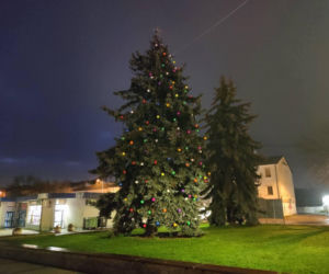 Choinka miejska Siedlce
