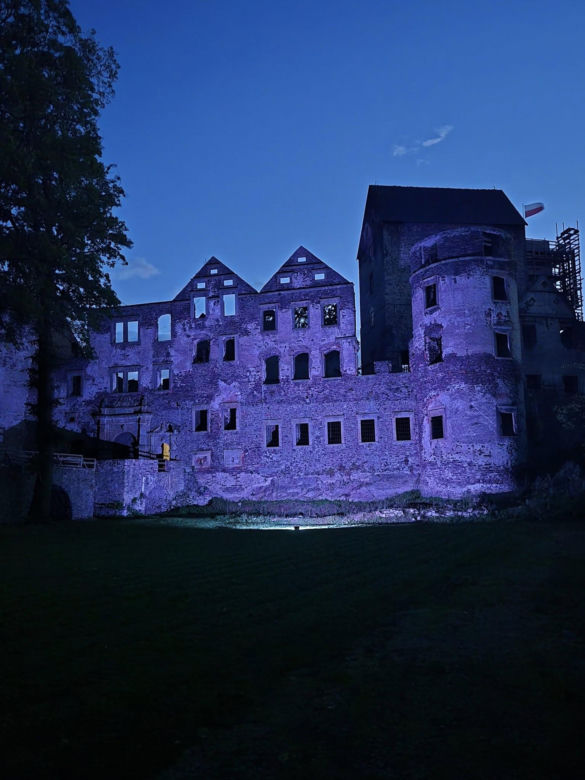 Zamek Świny