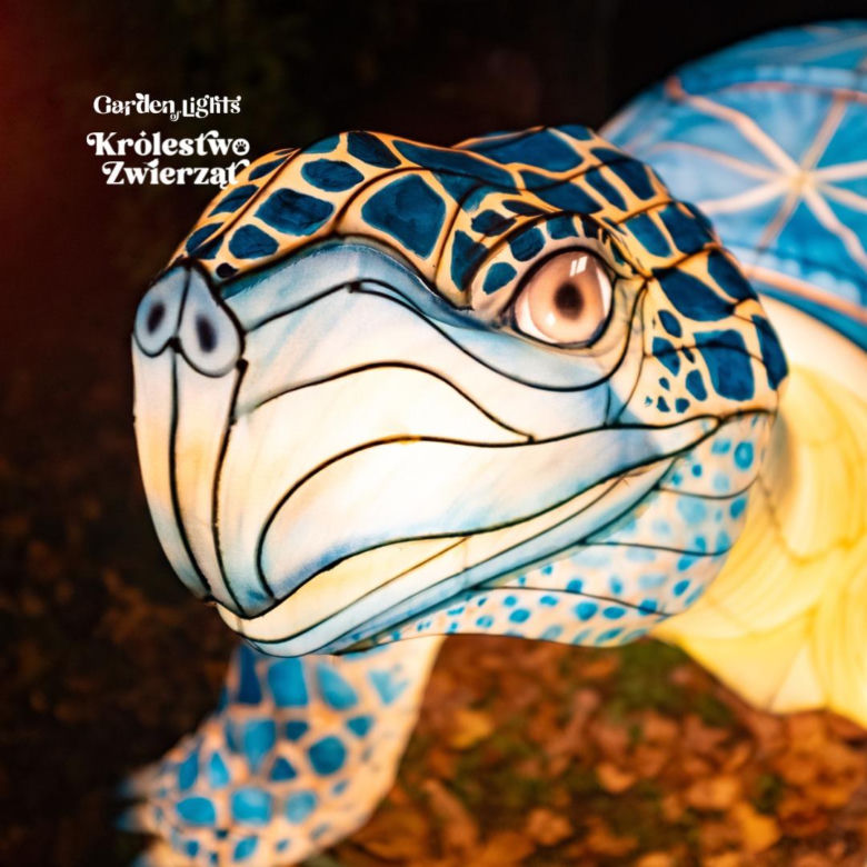Garden of Lights