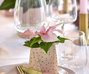 Mini gwiazda betlejemska