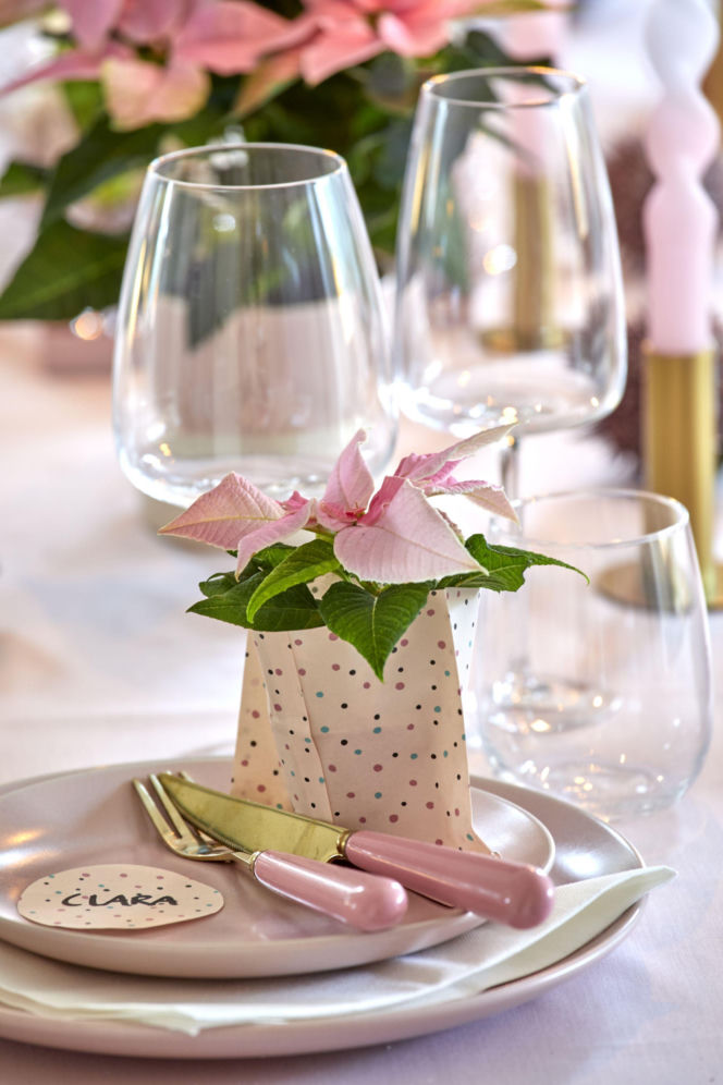 Mini gwiazda betlejemska