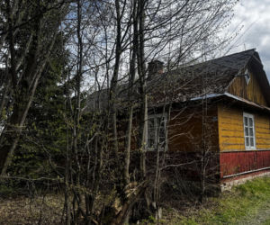 Koszmarne zabójstwo w Kraśniczynie