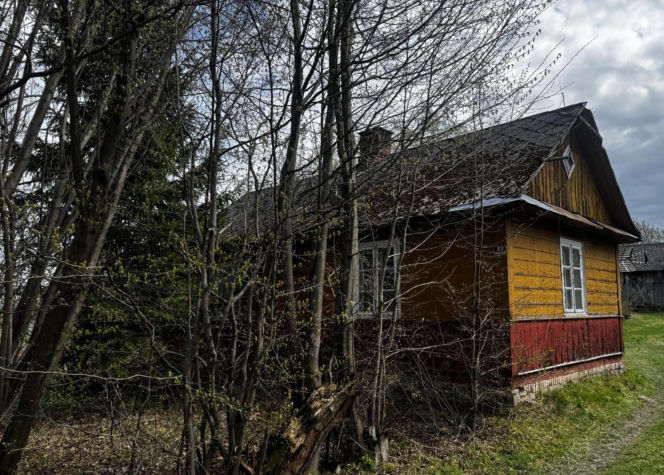 Koszmarne zabójstwo w Kraśniczynie