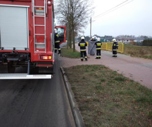 Maleńka sarna w tarapatach! Z pomocą ruszyli strażacy z Solca Kujawskiego 