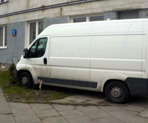 Strażnicy miejscy tracą cierpliwość: Trawnik to NIE parking. Ci kierowcy mogą spalić się ze WSTYDU, mamy zdjęcia