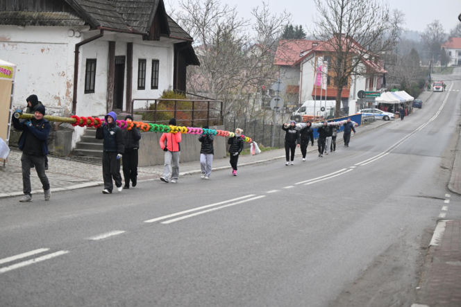 35 metrów i 80 centymetrów liczy palma, która zwyciężyła tegoroczny konkurs palm w Lipnicy Murowanej