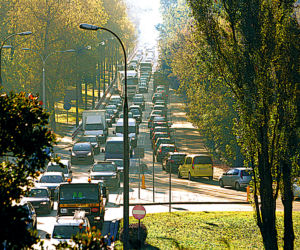 Urzędnicy jeżdżą Trasą W-Z