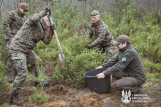 Choinka dla kombatanta