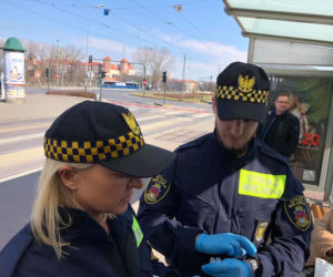Strażnicy Miejscy pobierają próbki do przebadania