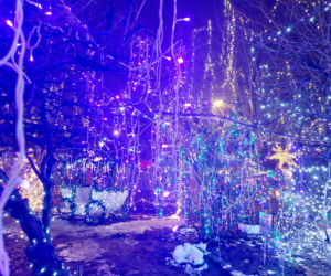 Dom bydgoskich Griswoldów znów rozbłysł. Powieśiliśmy 300 tysięcy lampek. Przygotowywaliśmy jej od lipca!