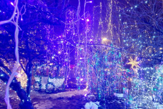 Dom bydgoskich Griswoldów znów rozbłysł. Powieśiliśmy 300 tysięcy lampek. Przygotowywaliśmy jej od lipca!