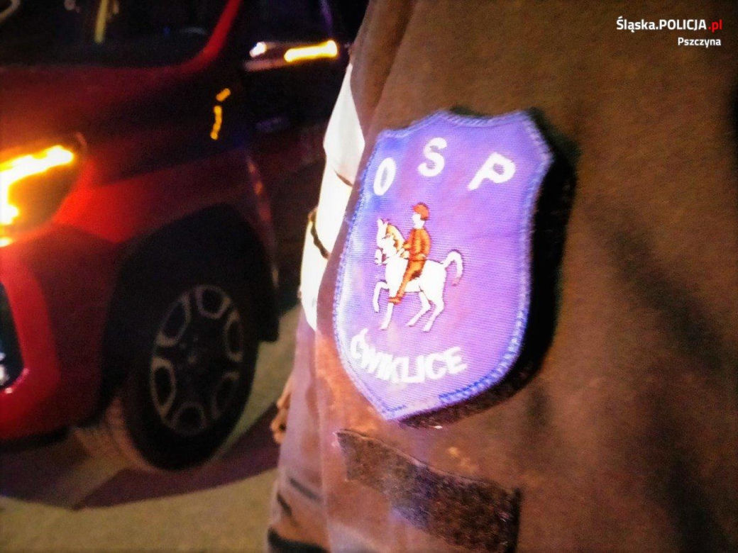 Groza na Śląsku. 14-latka wyszła z domu i zniknęła, szukały jej służby i zrozpaczeni rodzice. Dziewczynkę znaleziono w lesie