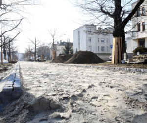 Spore zmiany na Alei Ossolińskich w Bydgoszczy. Będzie ścieżka rowerowa